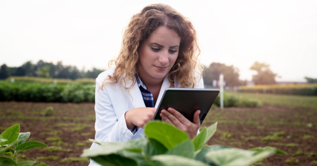 le fasi del progetto