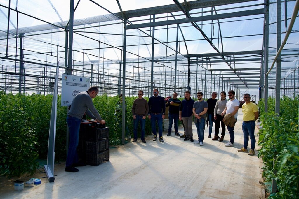 Pubblico_campi_dimostrativi