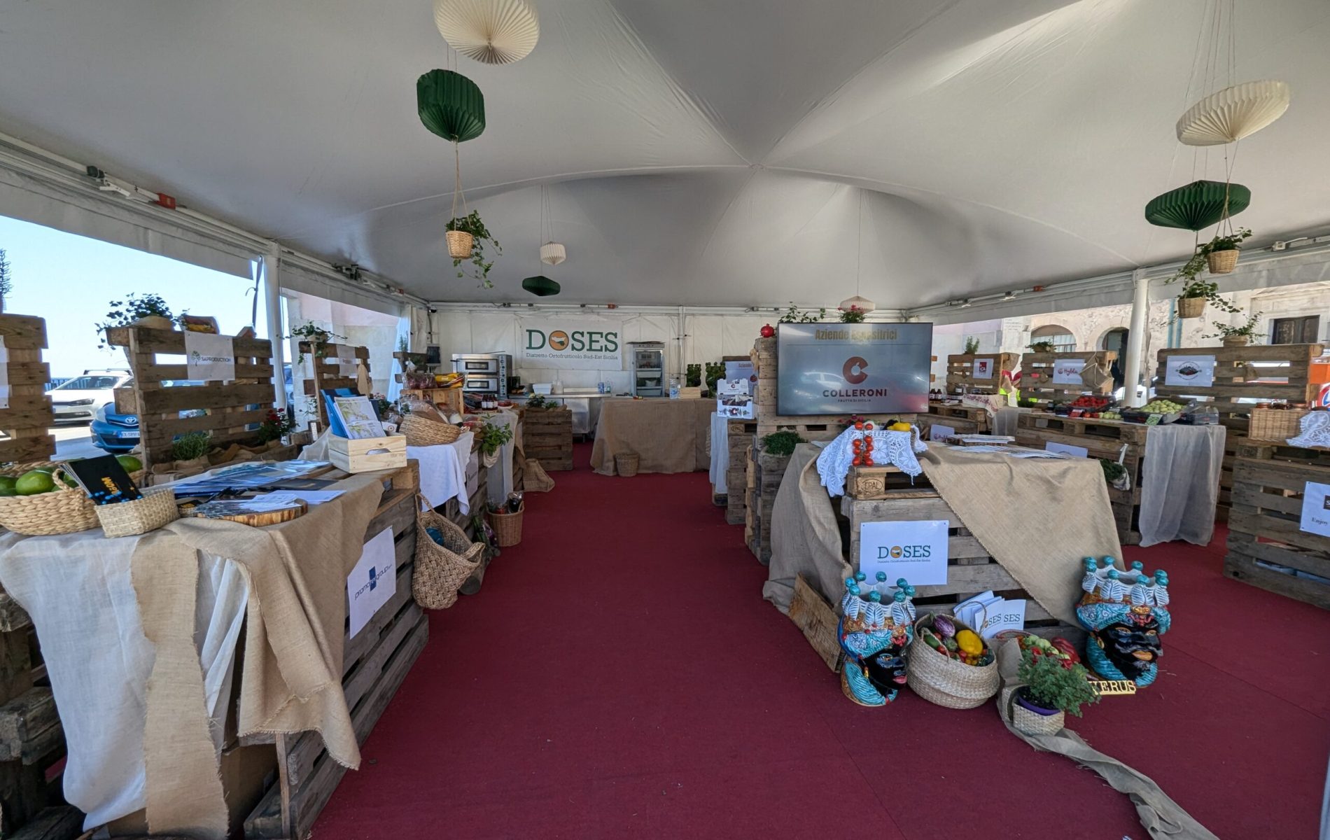 PXL_20240924_102348991